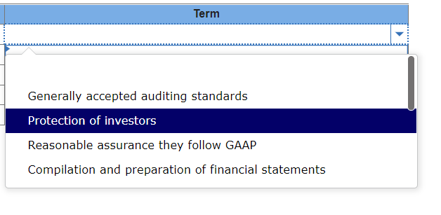 to the auditing term, phrase, or organizational name. Term Auditing term, phrase,