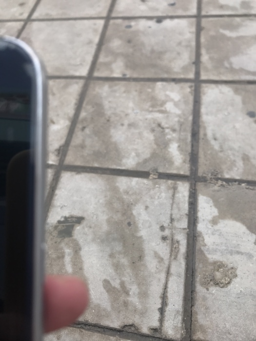 to answer the following questions: Calculate the opportunity cost of a pound