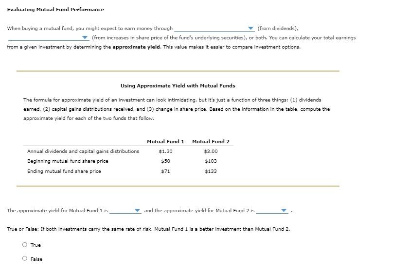  Evaluating Mutual Fund Performance When buying a mutual fund, you might