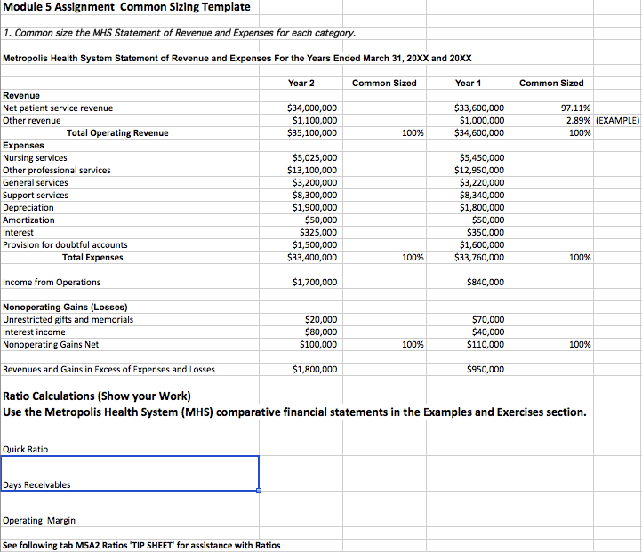  Module 5 Assignment Common Sizing Template Common size the MHS Statement