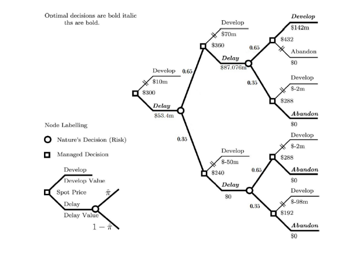 which allow for business investment opportunities throughout the life-time of the project.