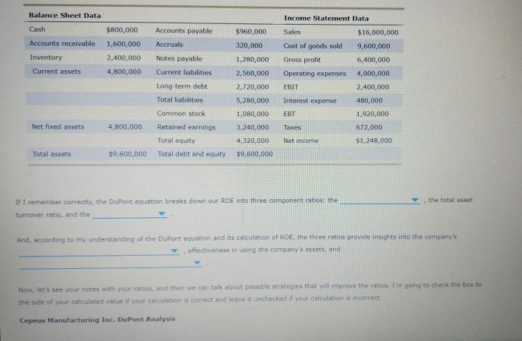first part Blank 1. Net Profit Margin OR Gross Profit Margin Blank