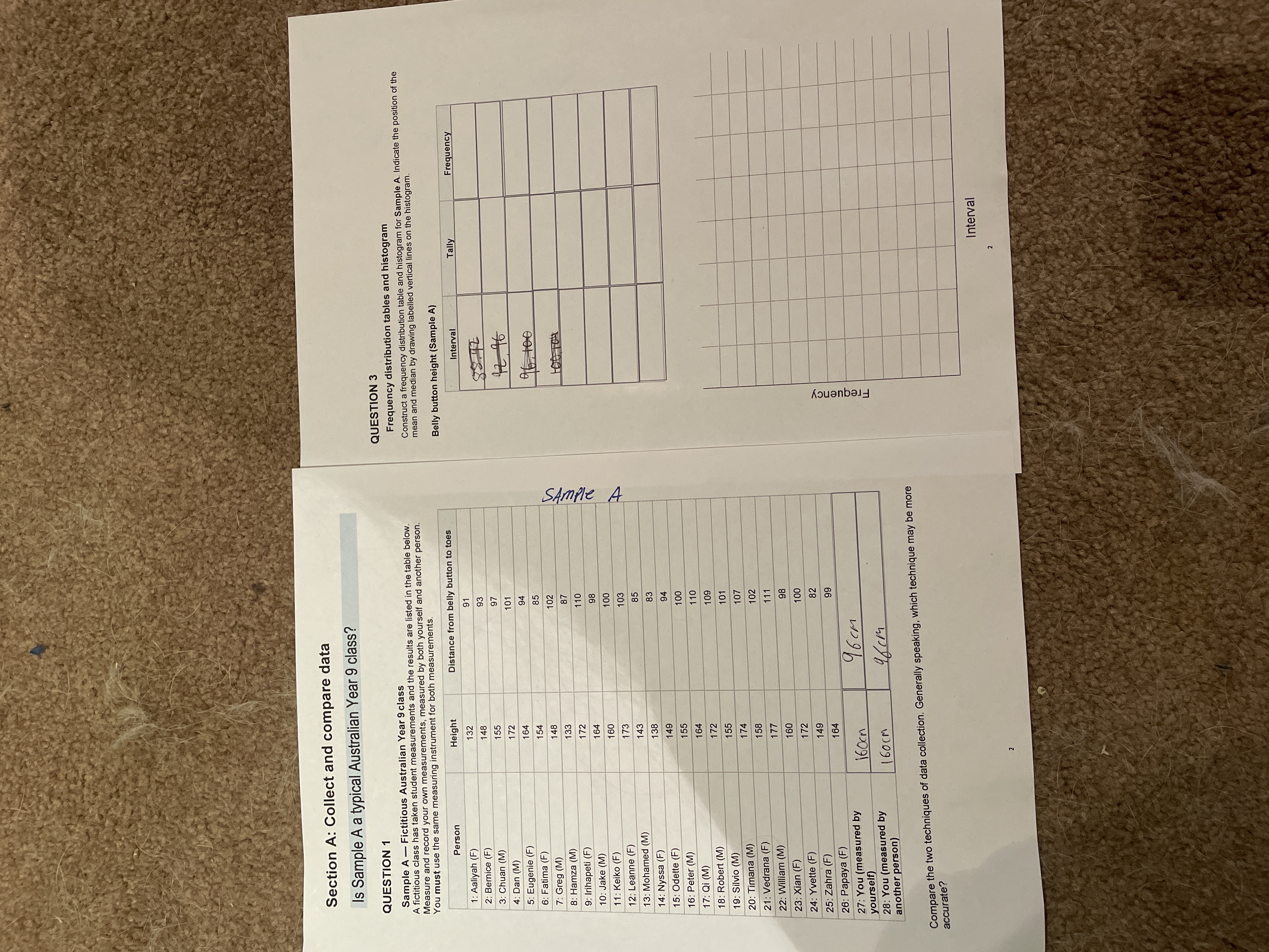  Section A: Collect and compare data Is Sample A a typical