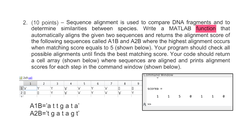  (10 points)- Sequence alignment is used to compare DNA fragments and