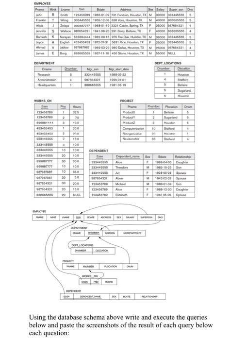  Using the database schema above write and execute the queries below