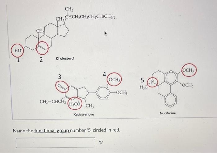  Name the functional group number ' 5 ' circled in red