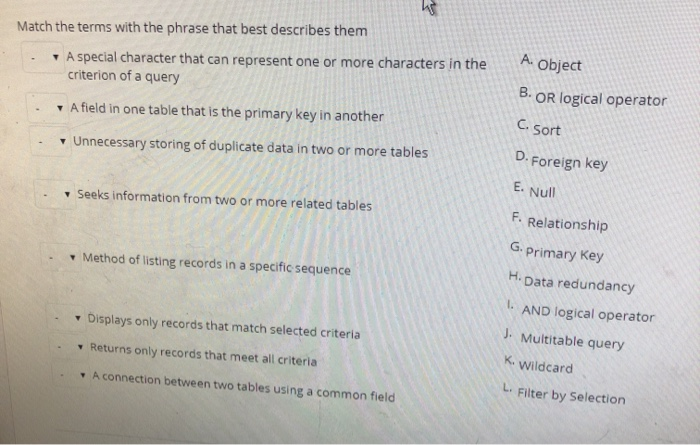 the phrase that best describes them A special character that can represent