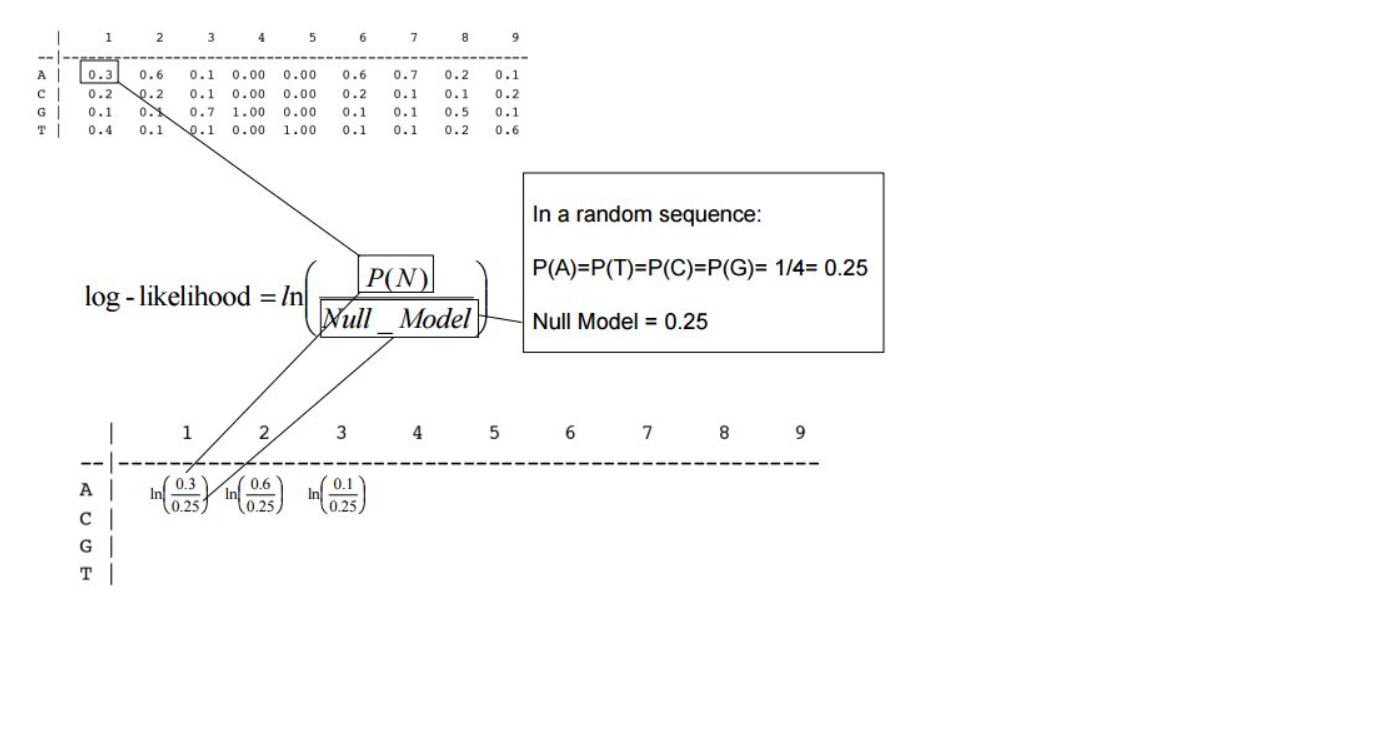 recognition is exon definition, a process that is as yet poorly understood.