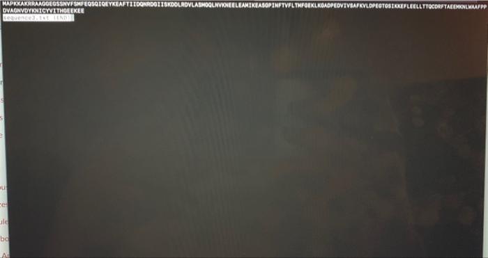 accessed the Drosophila genome file) - Based on the content of the