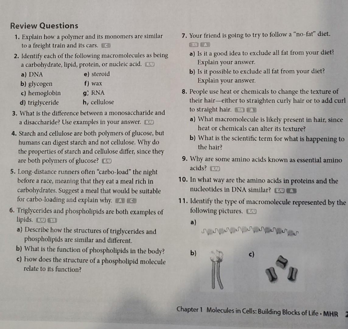  Review Questions 1. Explain how a polymer and its monomers are