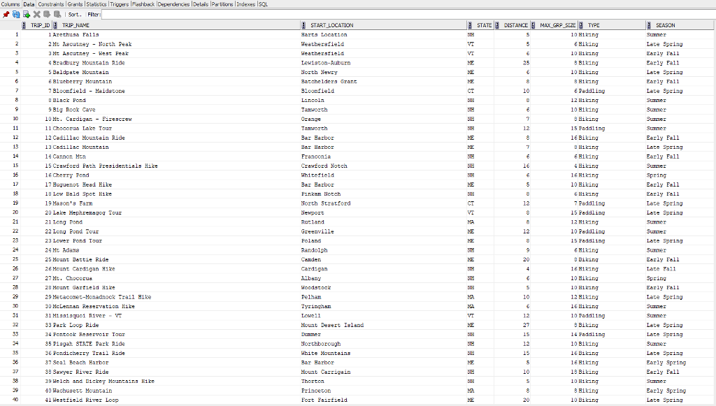 CUSTOMER, GUIDE, RESERVATION, TRIP, and TRIP_GUIDES. All of the questions in the