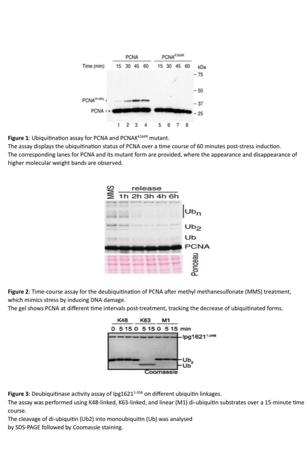  Data handling Interpret the results presented in the provided figures to