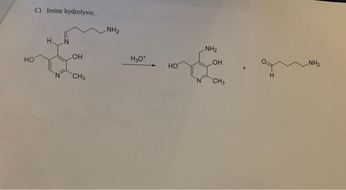  full mechanism C) Imine hydrolysis; +