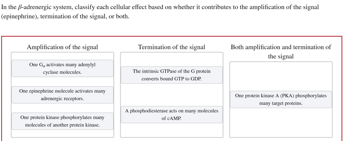  the -adrenergic system, classify each cellular effect based on whether it