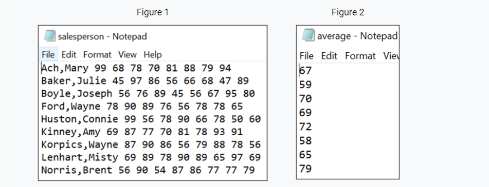 the screenshots. The salesperson.txt file has salesperson's names and their sales of