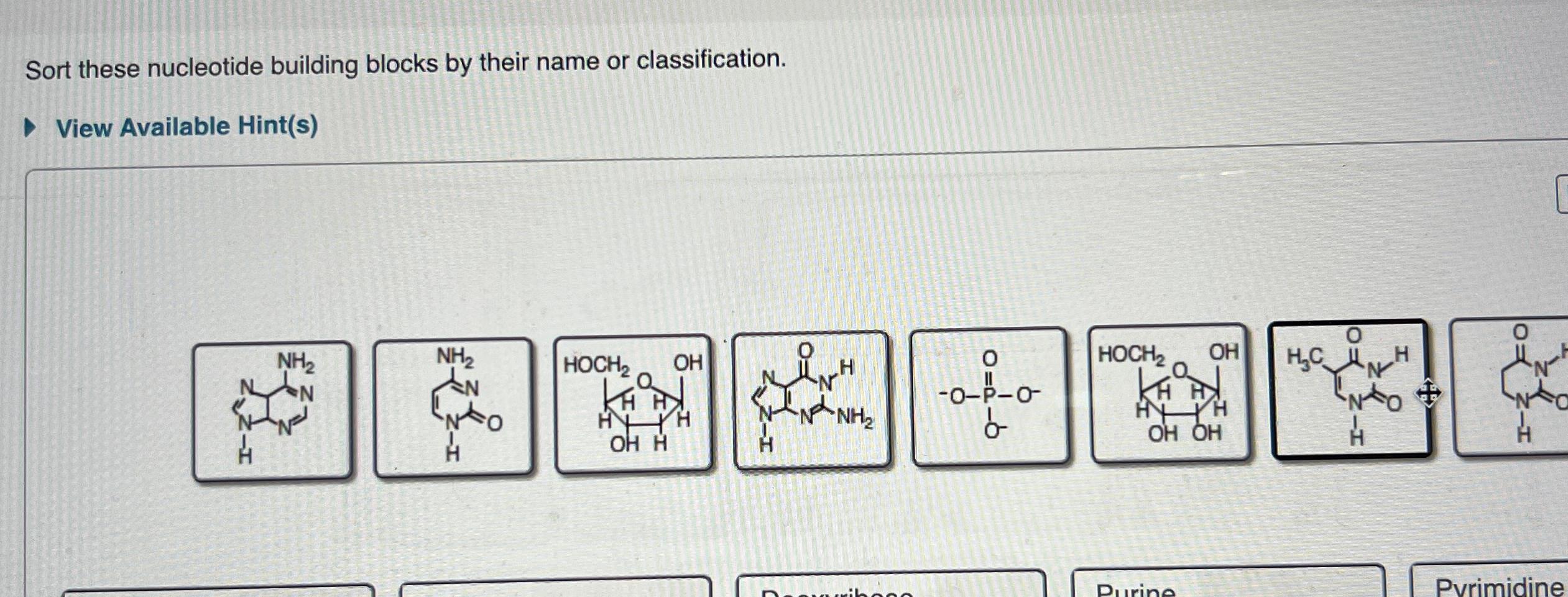  Sort these nucleotide building blocks by their name or classification. View