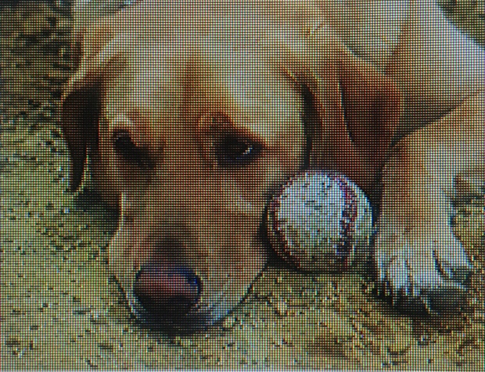 change orientation. Make sure you understand why the application behaves as it