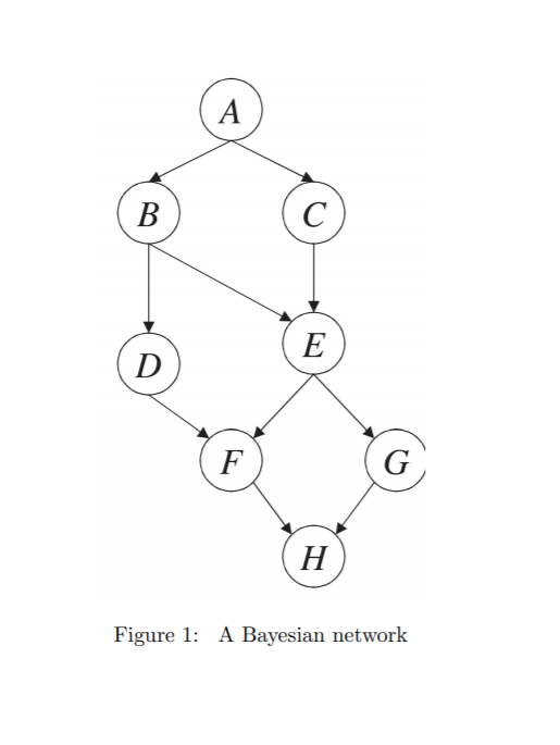 vert the resulting Markov network into an equivalent Bayesian network. Let H