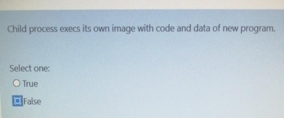  Child process execs its own image with code and data of