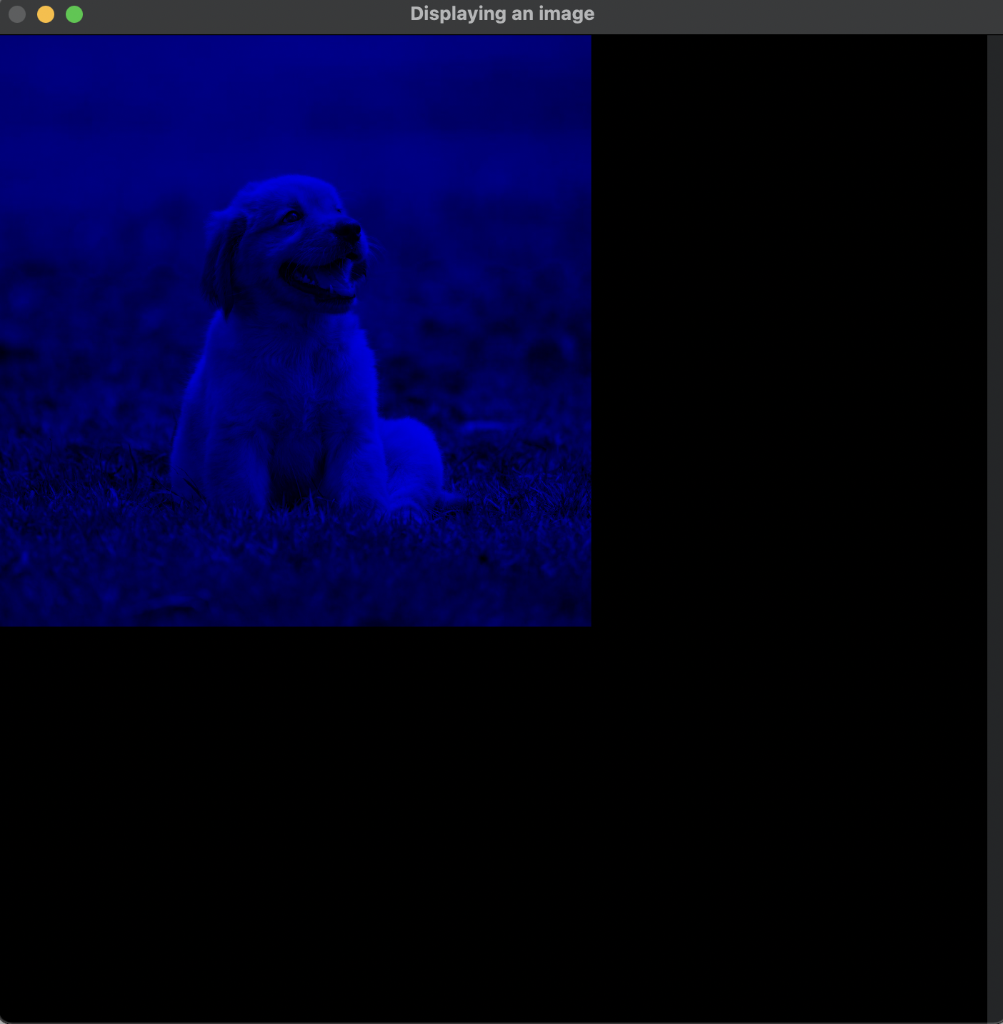 PYTHON AND OPENCV I need help scaling and centering my image. _____________________________________________________