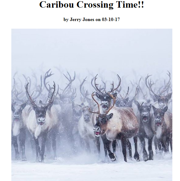 the first field Name. The Title field allows the manager to enter