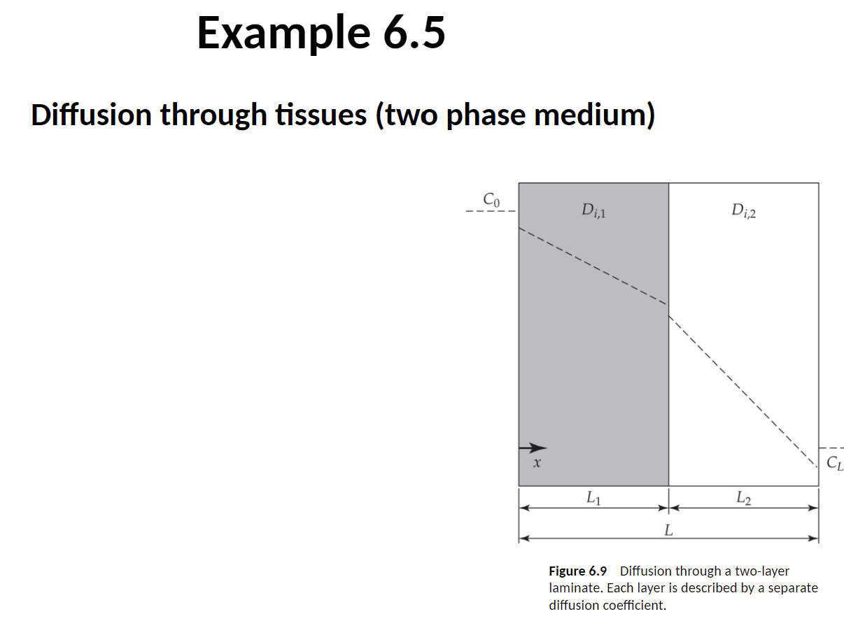  Example 6.5 Diffusion through tissues (two phase medium) 