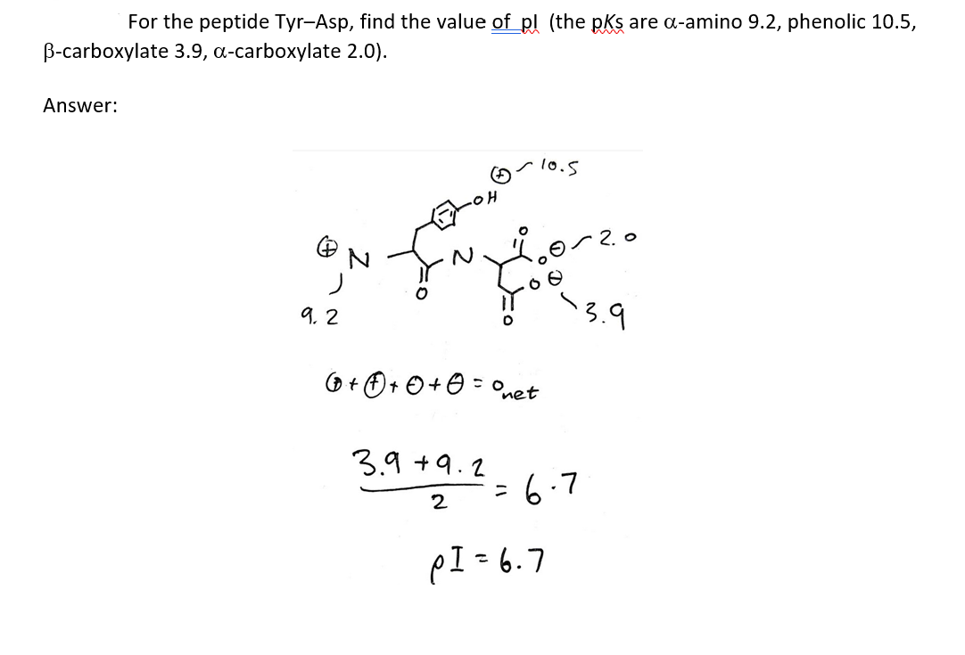 Please help I got this wrong For the peptide Tyr-Asp, find the