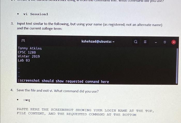  did you user . vi Session 3. Input text similar to