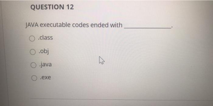  QUESTION 12 JAVA executable codes ended with 0.class O .obj ws