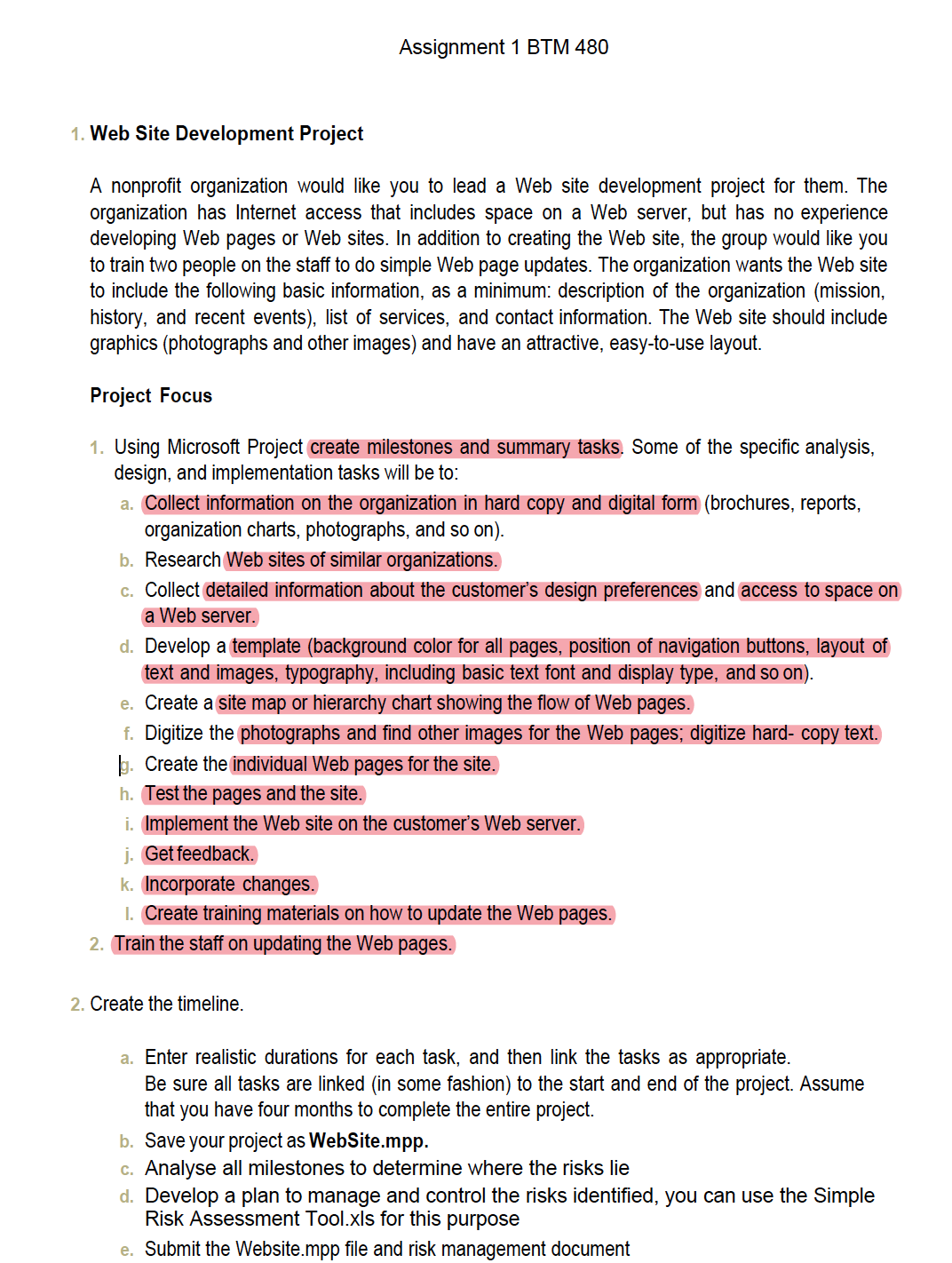  Assignment 1 BTM 480 Web Site Development Project A nonprofit organization