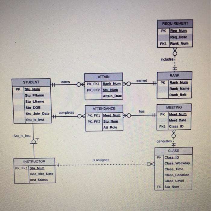make sure to show entity integrity and referential int egrity constraints properly
