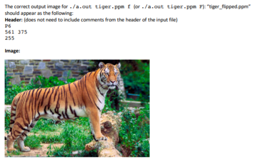 you some experience using command-line arguments and file I/O as well as