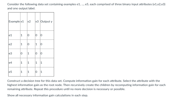 Consider the following data set containing examples e1, .., e5, each