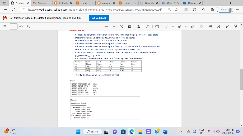  - Create an anonymous block that inserts new rows into the