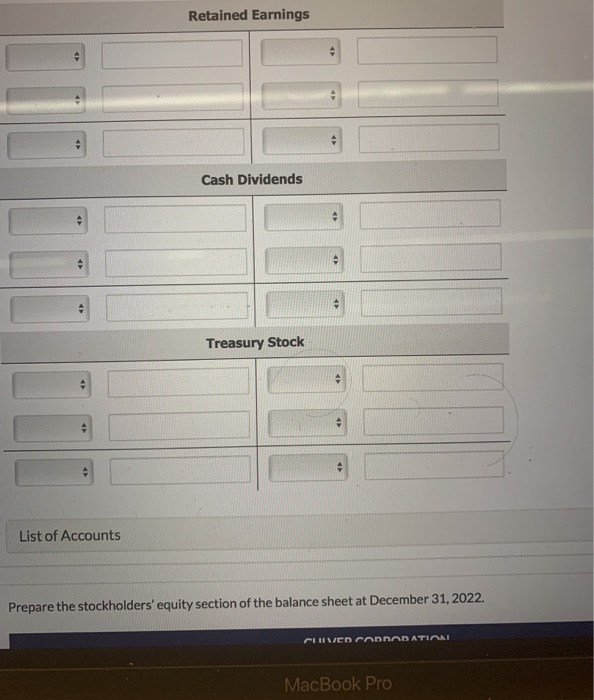 authorized) 1,600,000 Pald-in Capital in Excess of Par Value-Preferred Stock 24,000 Paid-in
