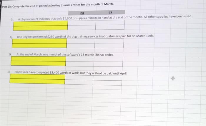 March 1st, Bob Dog purchased software worth $5,000. Bob Dog paid $500