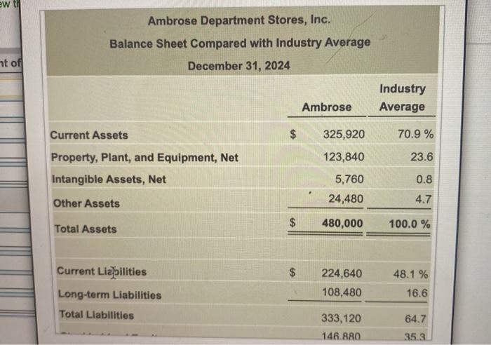for its income statement. The Ambrose Department Stores, Inc. chief executive officer