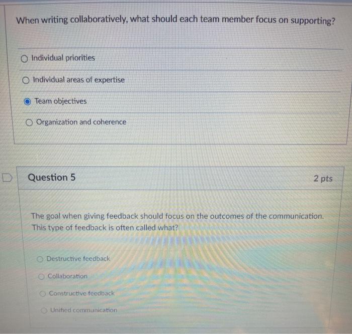  When writing collaboratively, what should each team member focus on supporting?