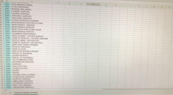 performance. The template provided includes, as an example, the following types of