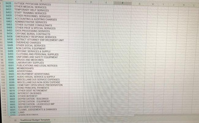 broad expenditures (sub-categories would also be included, i.e., a chart of accounts).
