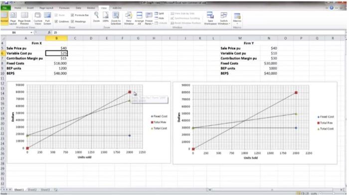  Explain how the CVP graphs would change if the providers were