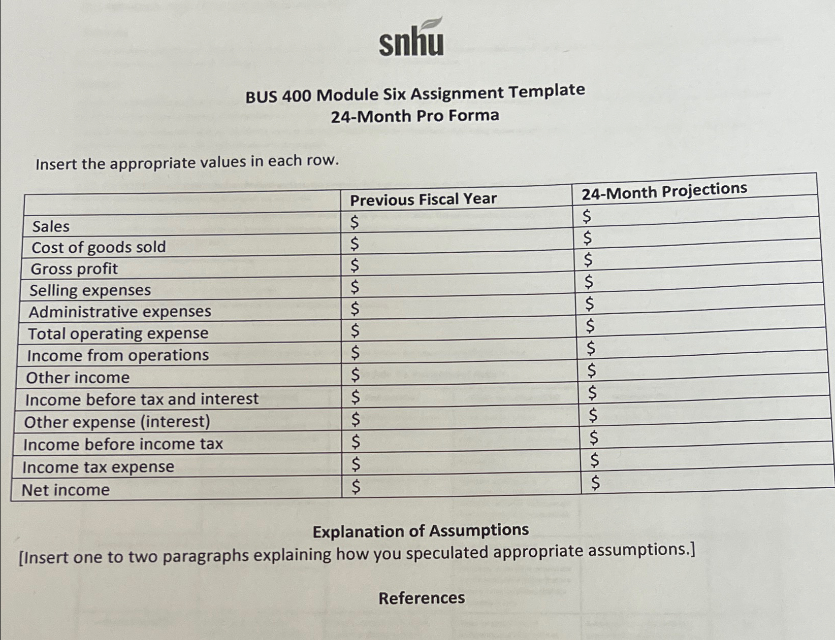  snhu BUS 400 Module Six Assignment Template 24-Month Pro Forma Insert