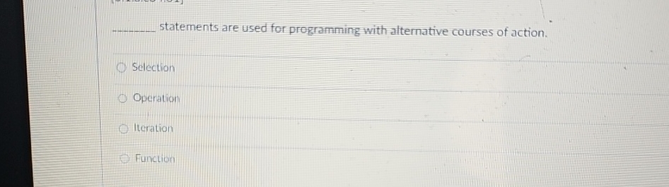  q, statements are used for programming with altermative courses of action.