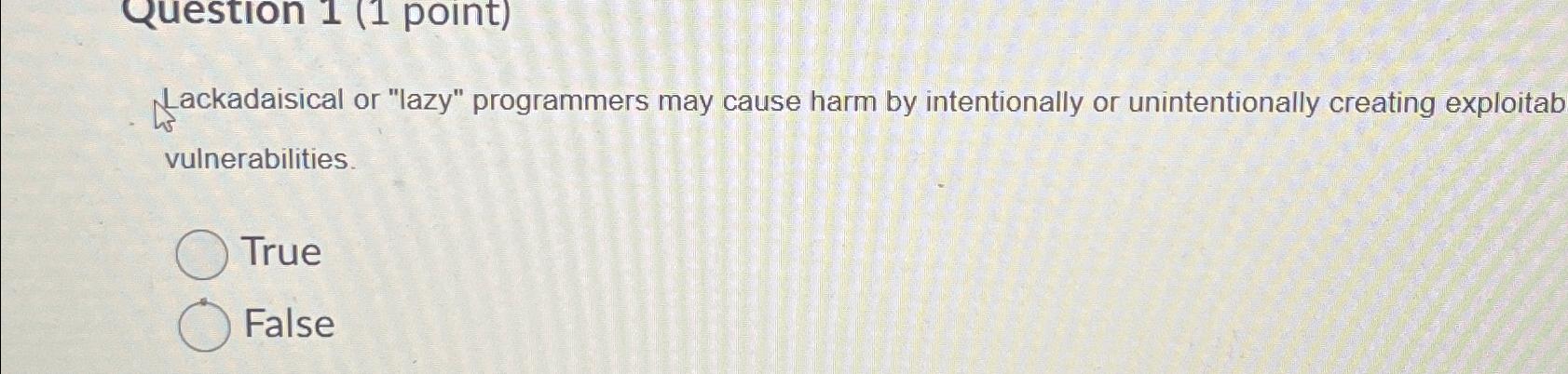  Lackadaisical or "lazy" programmers may cause harm by intentionally or unintentionally
