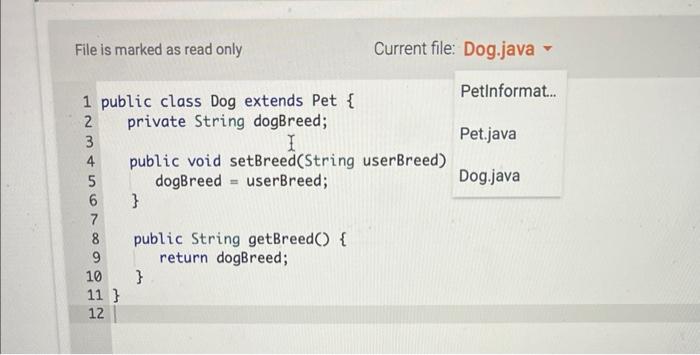 petAge = scnr. nextInt(); scnr, nextline(); petAge = scnr.nextInt(); scnr. nextLine(); dogName