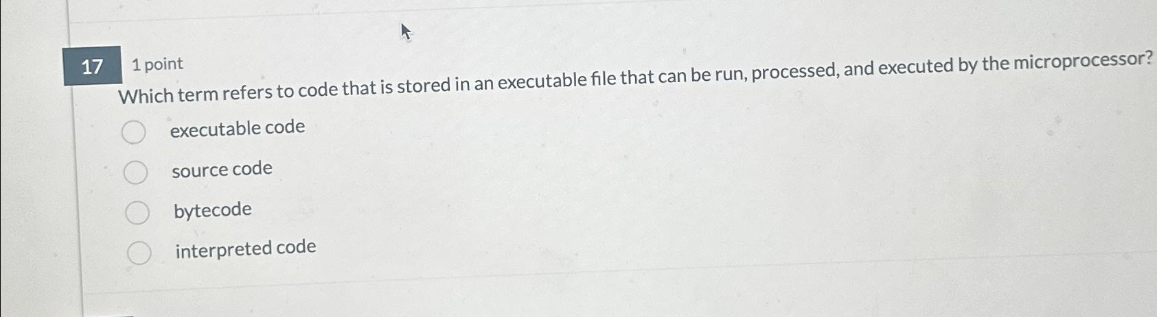  171 point Which term refers to code that is stored in