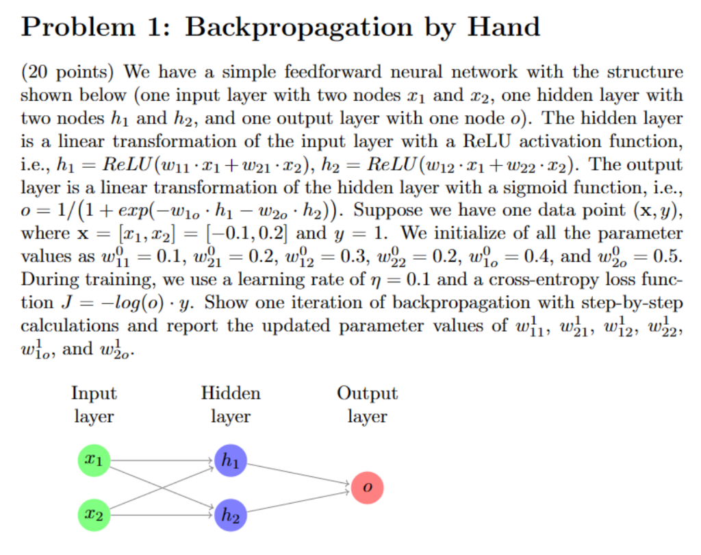  (20 points) We have a simple feedforward neural network with the