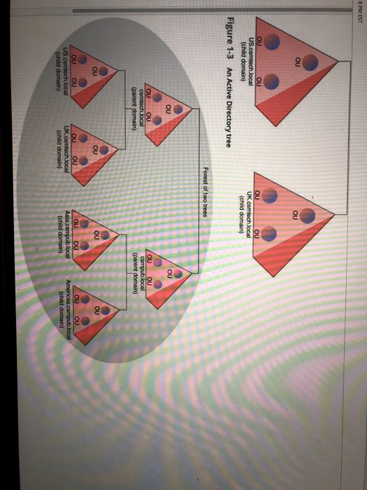 the to understand how the business is organized and learn that there