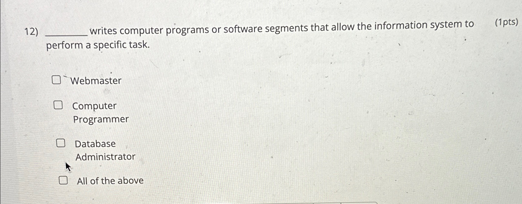  writes computer programs or software segments that allow the information system