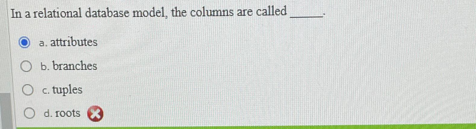  In a relational database model, the columns are called a. attributes